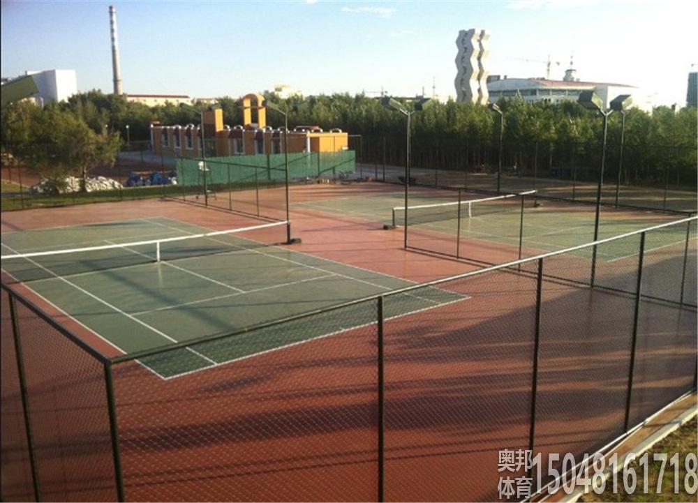 二连浩特恐龙公园围网灯光